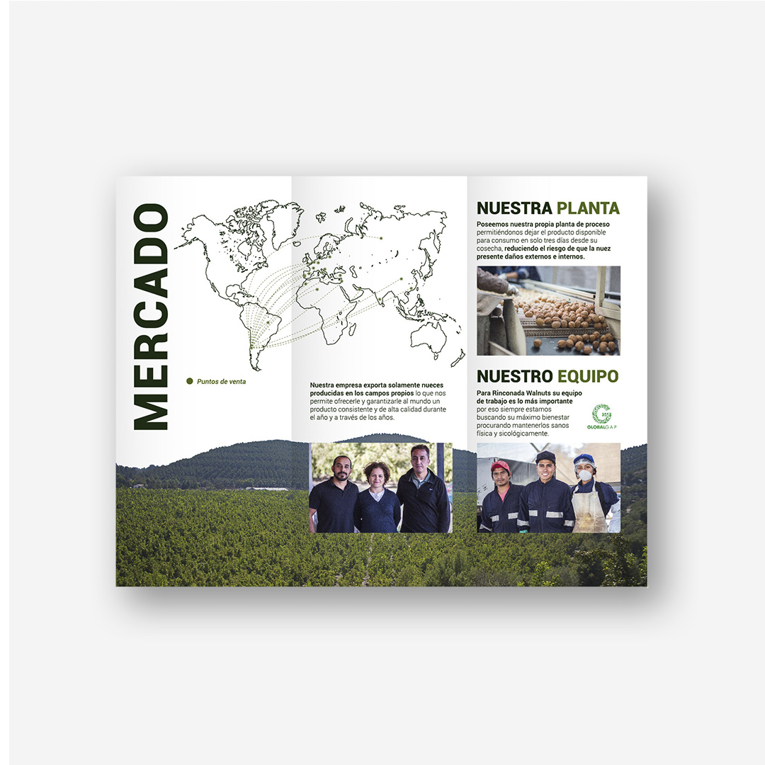 Brochure1