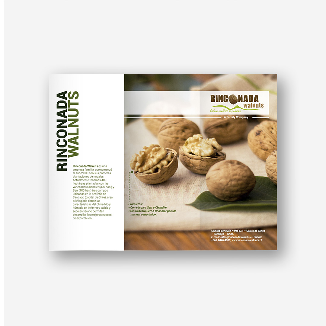 Brochure2