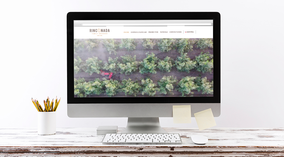 RINCO-WEB-4