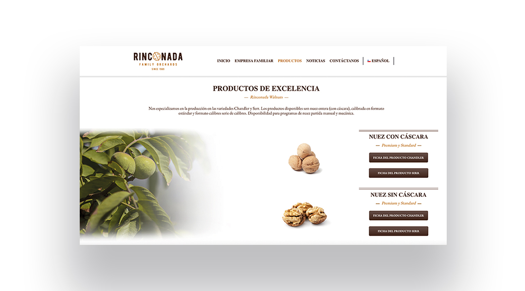 RINCO-WEB3